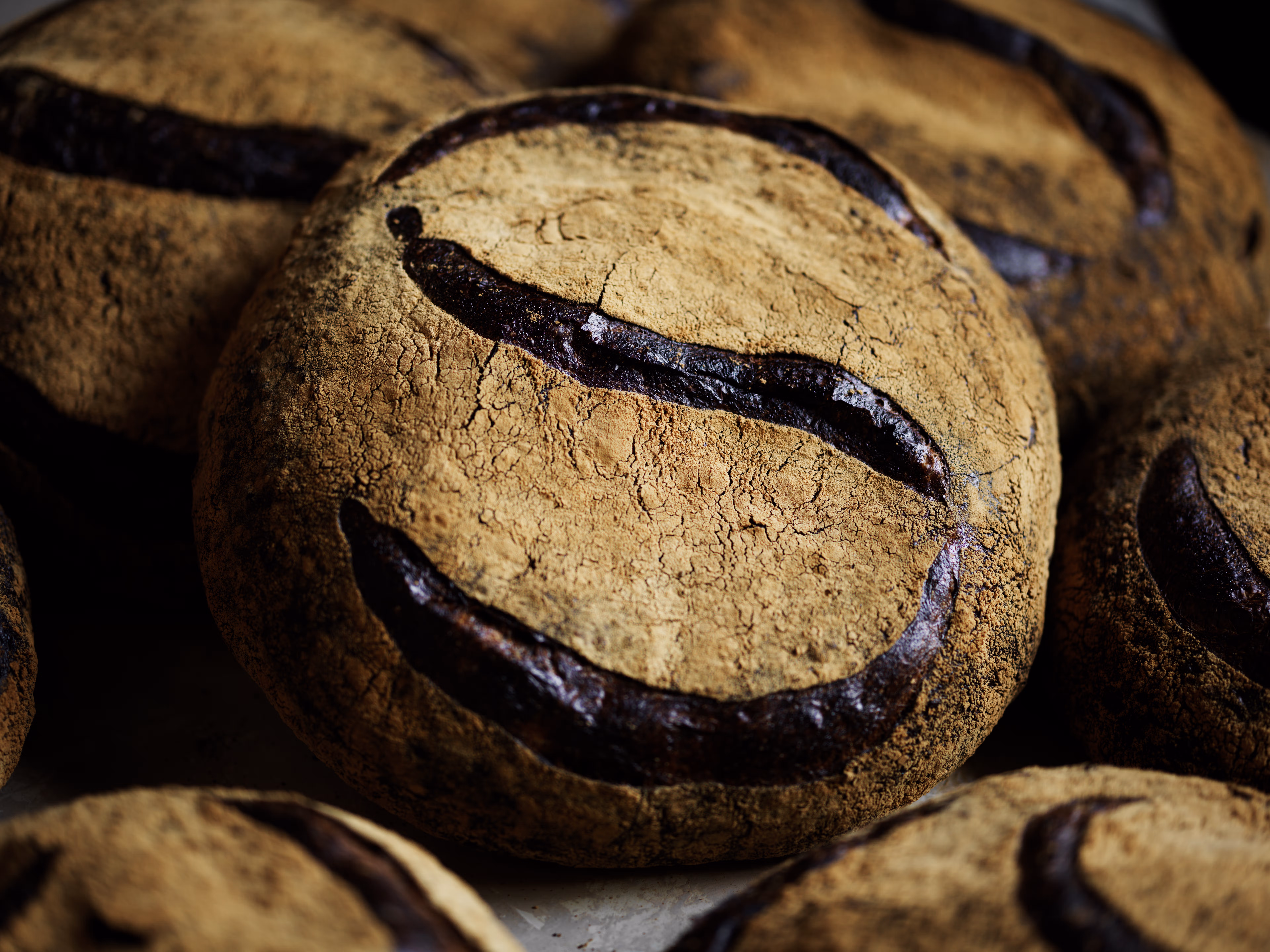 Closeup photo of freshly baked bread